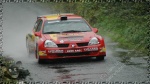 Clare Rally 2007
